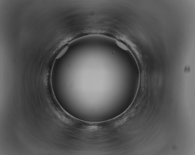 X0000097760153200803071303