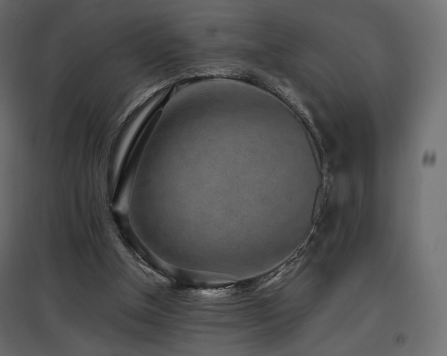 X0000097760154200803071303