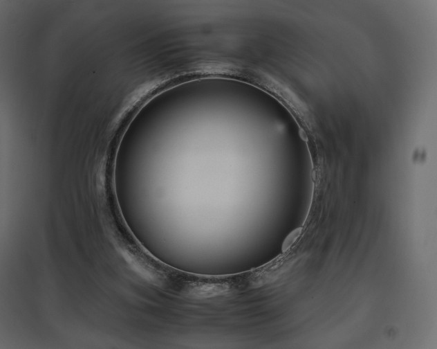 X0000097760155200803071303