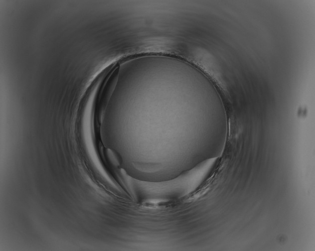 X0000097760156200803071303