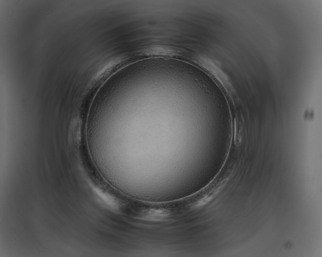 X0000097760157200803071303