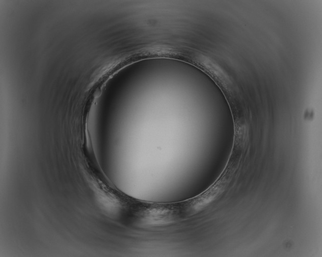 X0000097760158200803071303