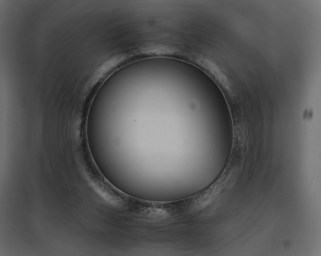 X0000097760159200803071303