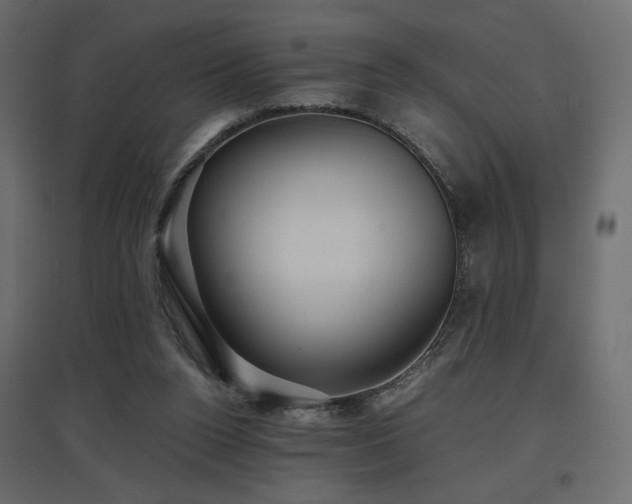 X0000097760160200803071303