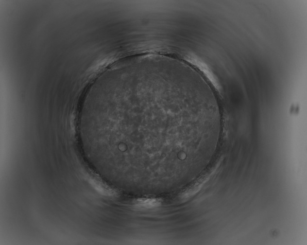 X0000097760161200803071303