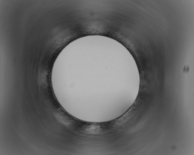 X0000097760162200803071303