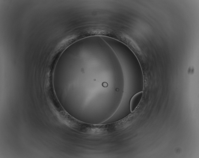 X0000097760163200803071303