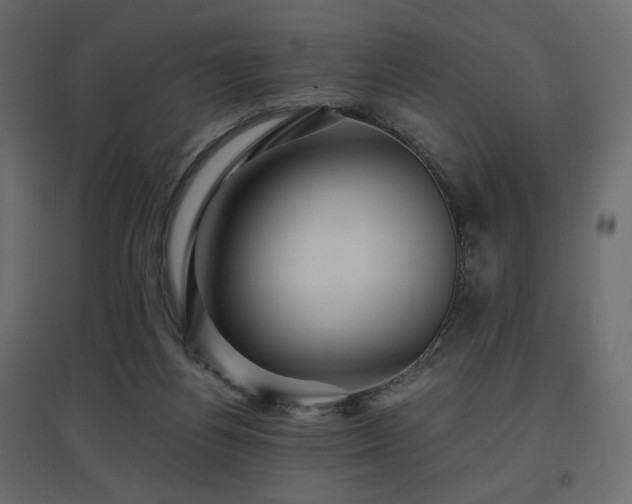 X0000097760164200803071303