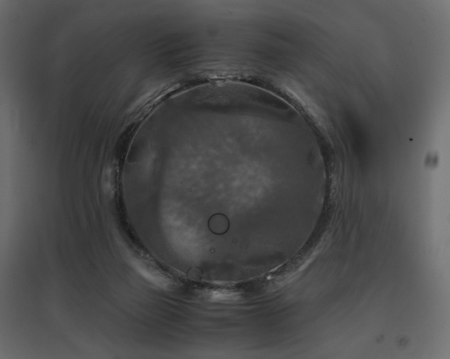 X0000097760165200803071303