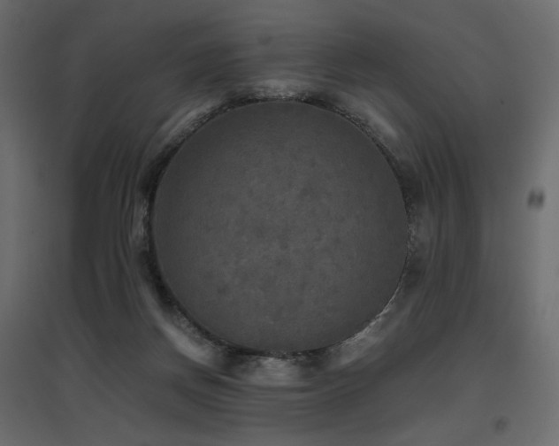 X0000097760166200803071303