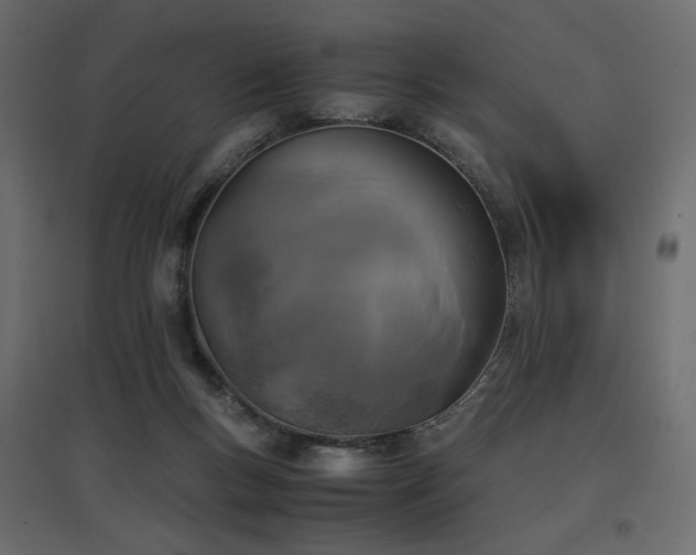 X0000097760167200803071303