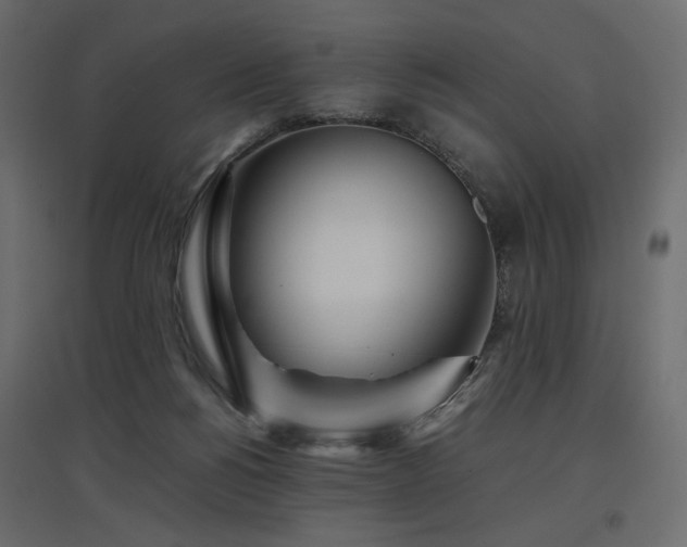 X0000097760168200803071303