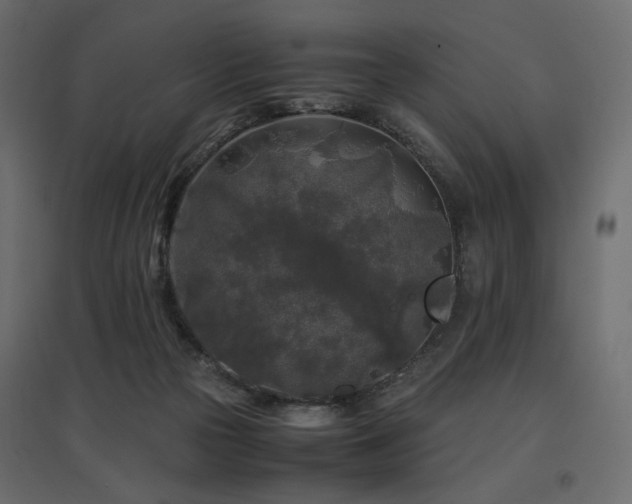 X0000097760169200803071303