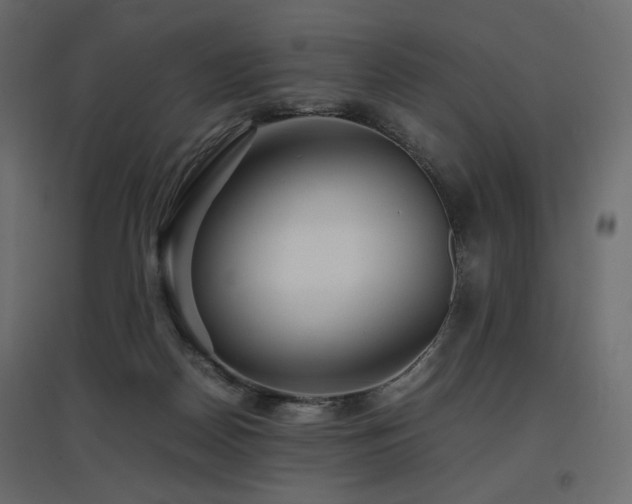 X0000097760170200803071303