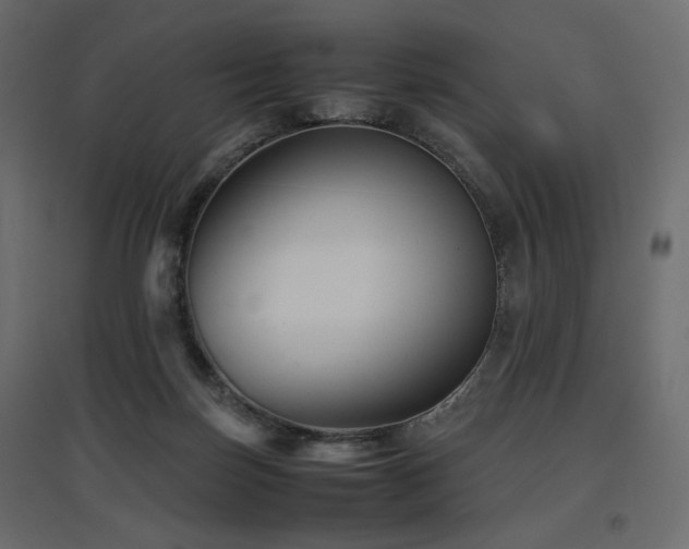 X0000097760171200803071303