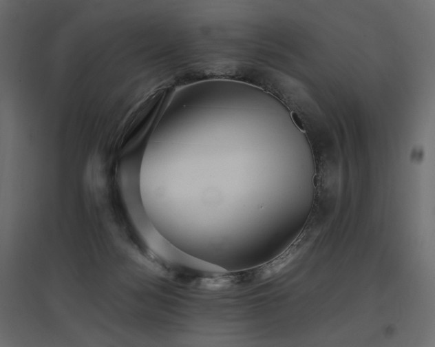 X0000097760172200803071303