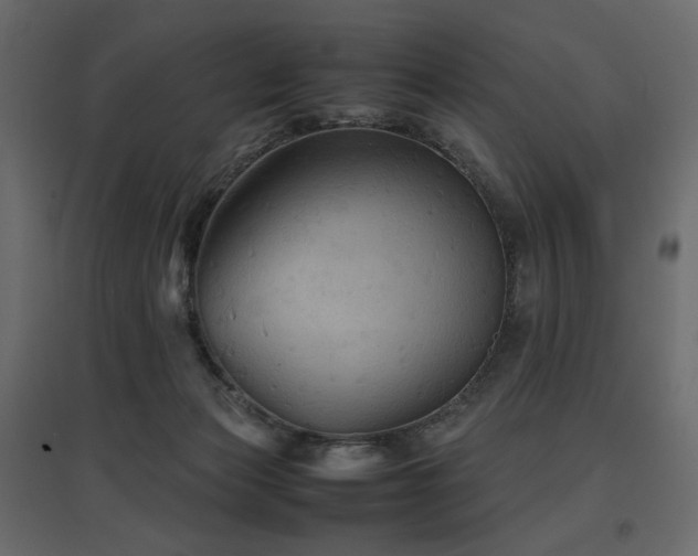 X0000097760173200803071303