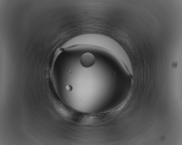 X0000097760174200803071303