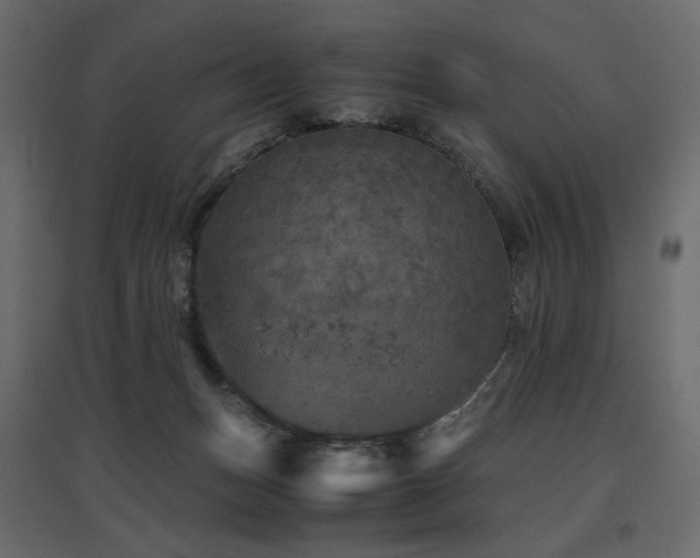 X0000097760175200803071303