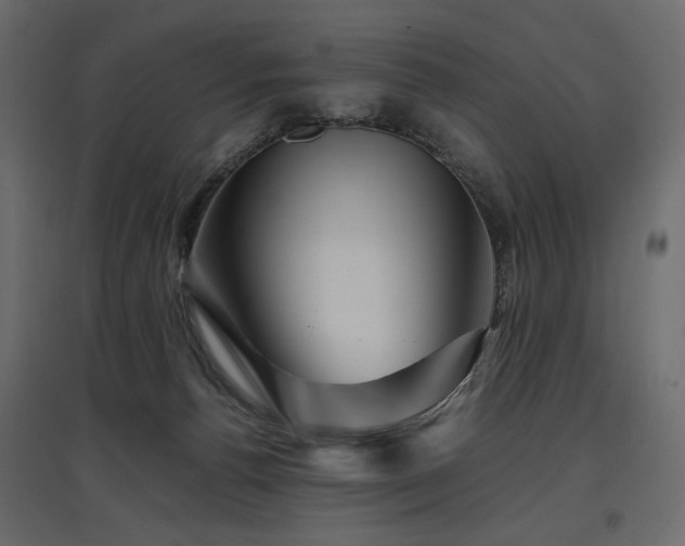 X0000097760176200803071303