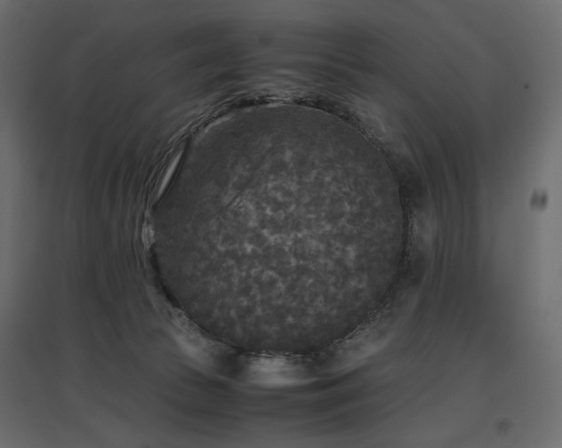 X0000097760177200803071303