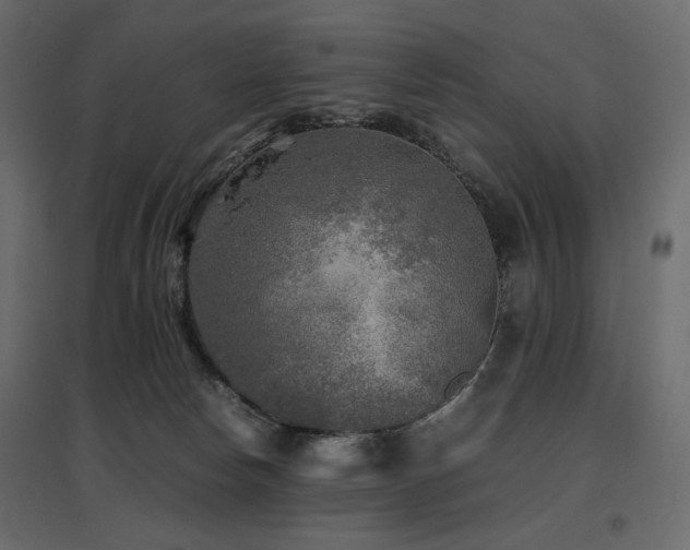 X0000097760178200803071303