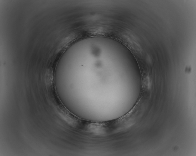 X0000097760179200803071303