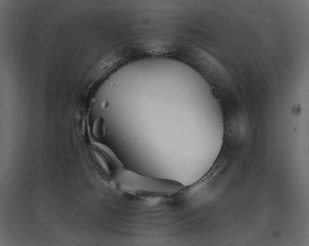 X0000097760180200803071303