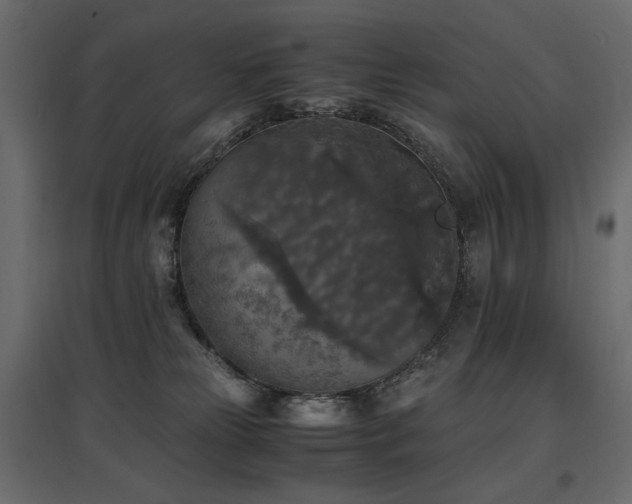 X0000097760181200803071303