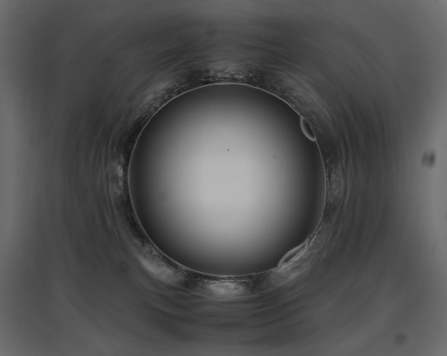 X0000097760183200803071303