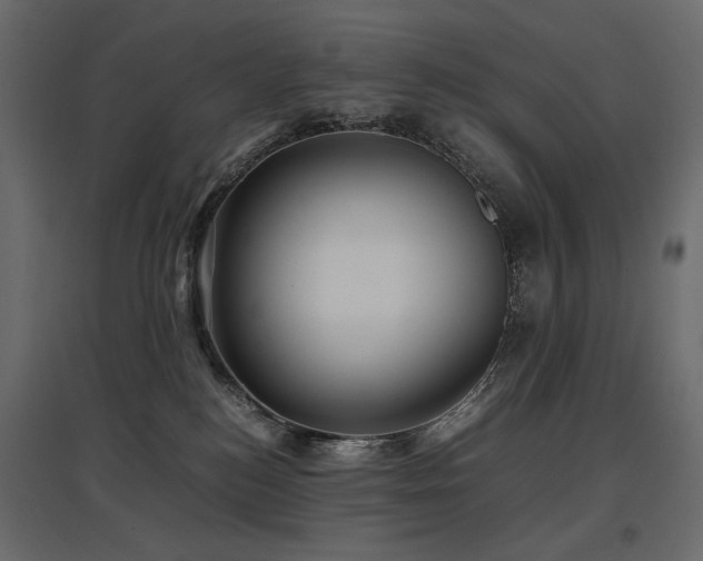 X0000097760184200803071303