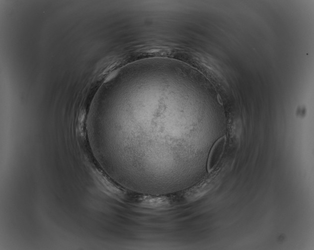 X0000097760185200803071303