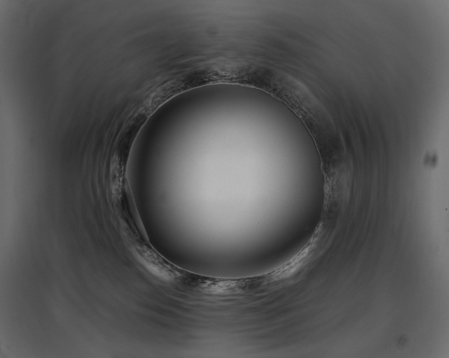 X0000097760186200803071303