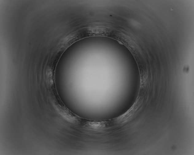 X0000097760187200803071303