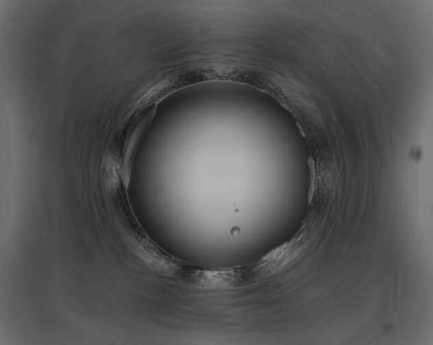 X0000097760188200803071303