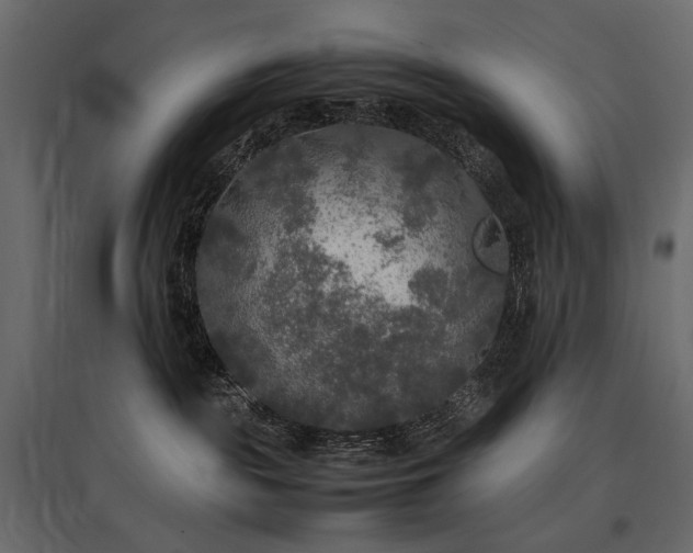 X0000097760189200803071303