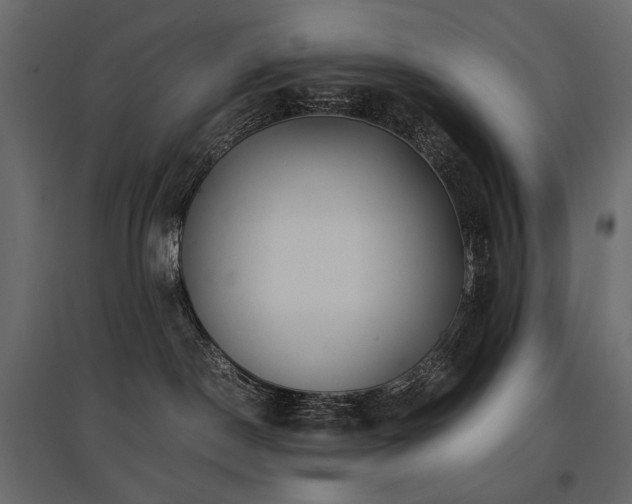 X0000097760190200803071303