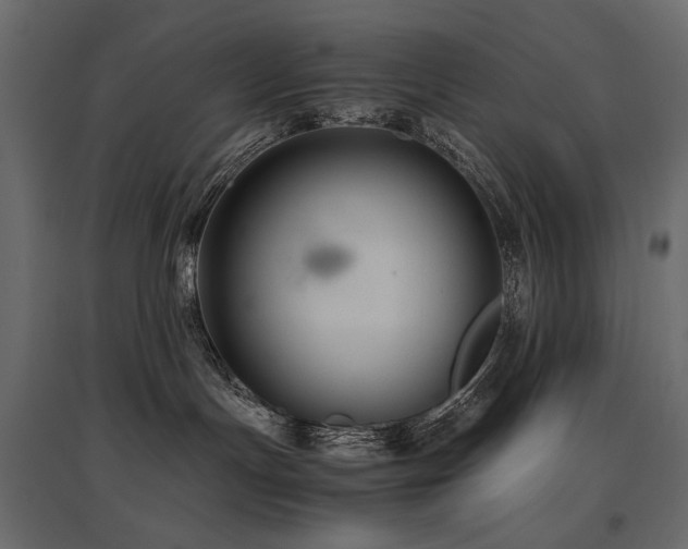 X0000097760191200803071303