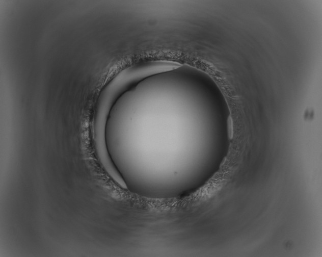 X0000097760192200803071303