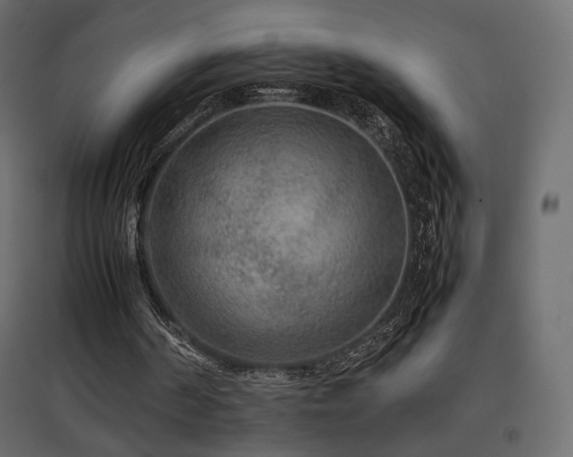 X0000097760194200803071302