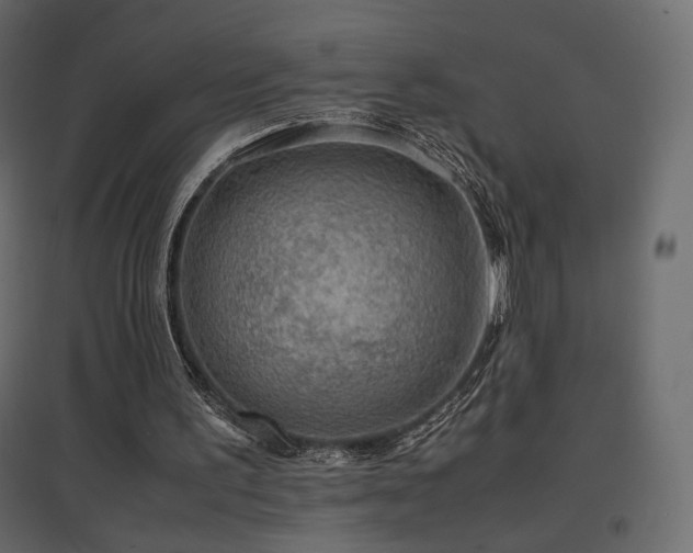 X0000097760195200803071302