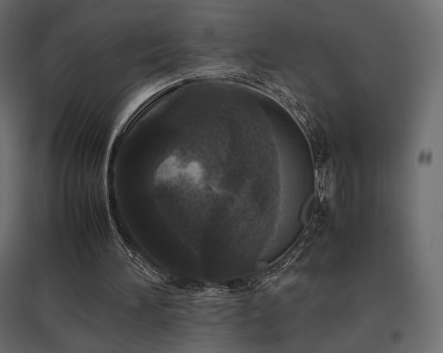 X0000097760196200803071302