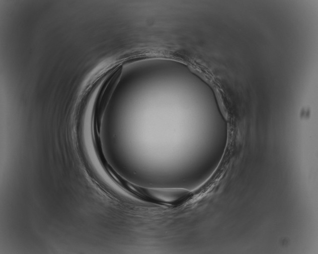 X0000097760197200803071302