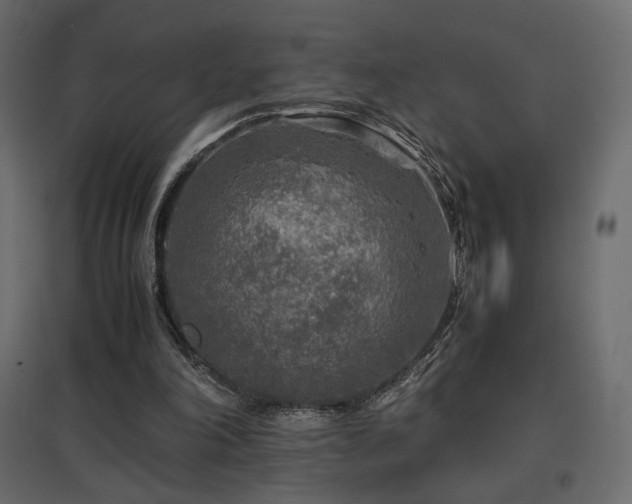 X0000097760198200803071302