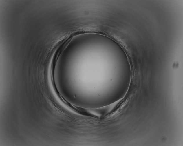 X0000097760201200803071302