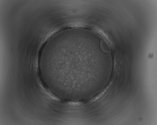 X0000097760202200803071302