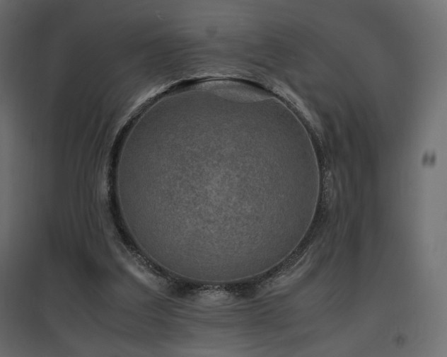 X0000097760203200803071302