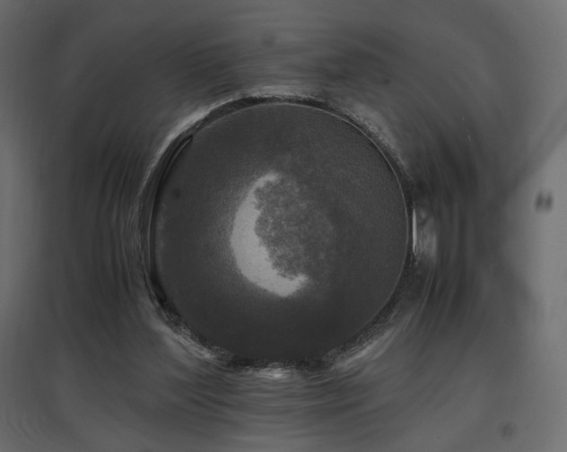 X0000097760204200803071302