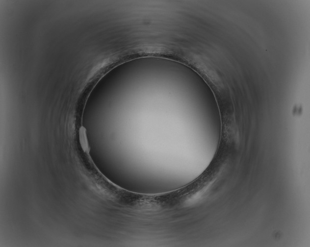 X0000097760207200803071302