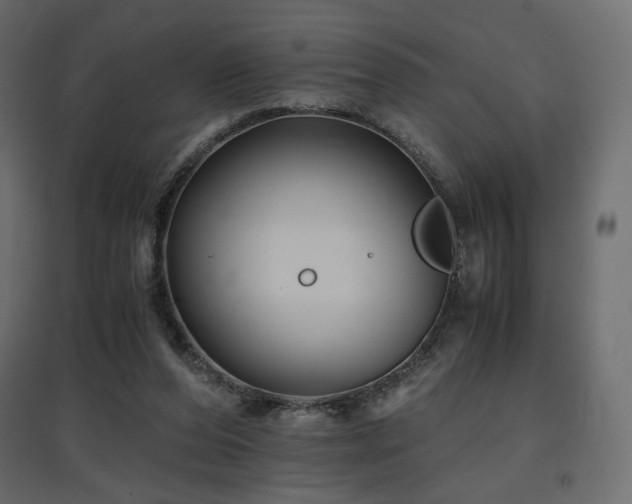 X0000097760208200803071302